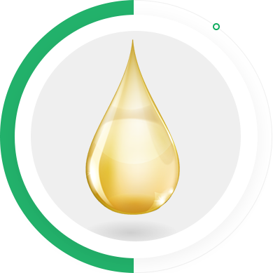 GA黄金甲·(中国区)官方网站