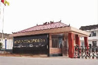 GA黄金甲,油茶莳植生产加工销售,植物油莳植生产加工销售