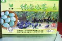 GA黄金甲,油茶莳植生产加工销售,植物油莳植生产加工销售