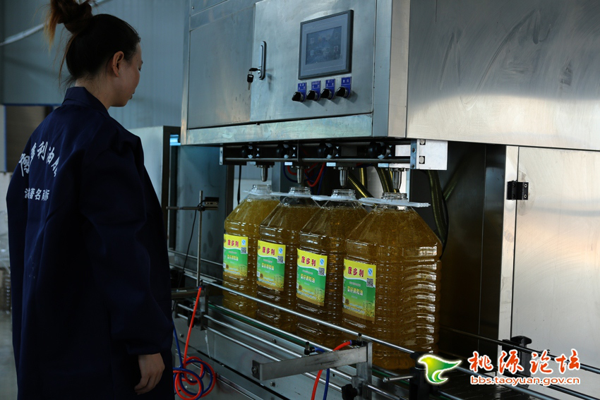 GA黄金甲,油茶莳植生产加工销售,植物油莳植生产加工销售