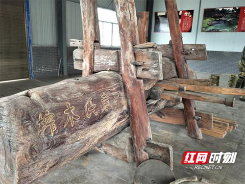 GA黄金甲,油茶莳植生产加工销售,植物油莳植生产加工销售