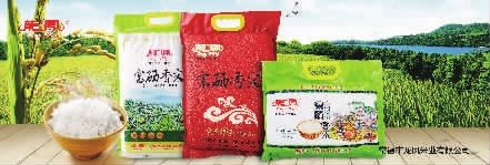 GA黄金甲,油茶莳植生产加工销售,植物油莳植生产加工销售