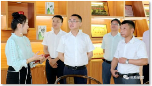 GA黄金甲,油茶莳植生产加工销售,植物油莳植生产加工销售